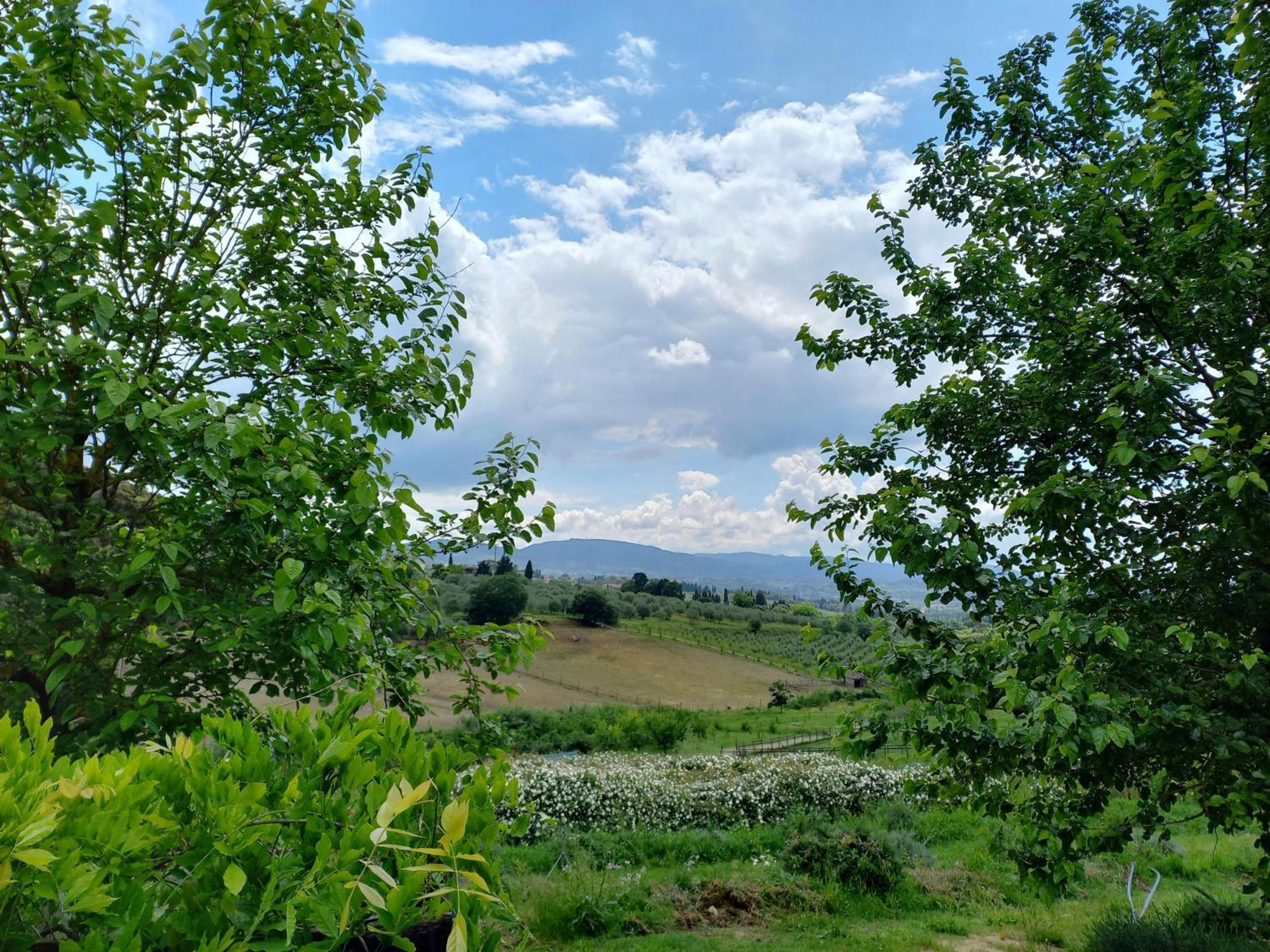 Agriturismo Fattoria Di Maiano Fiesole Exterior photo